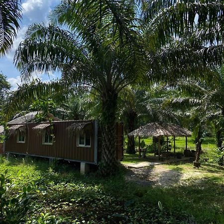 Forest Guesthouse Ban Don Muang  Zewnętrze zdjęcie