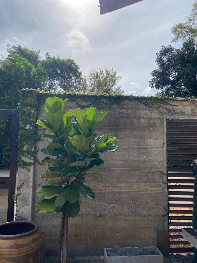 Forest Guesthouse Ban Don Muang  Zewnętrze zdjęcie